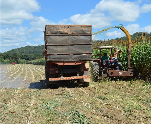 Sistemas agropecuários integrados favorecem o aumento da produtividade