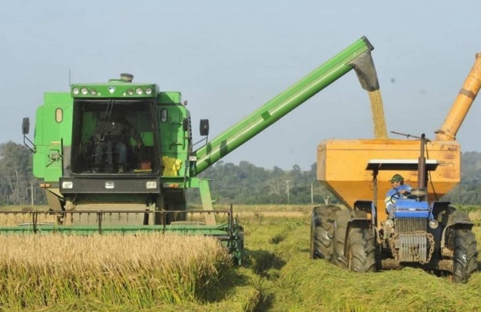 Colheita do arroz se aproxima dos 88% da área semeada no RS