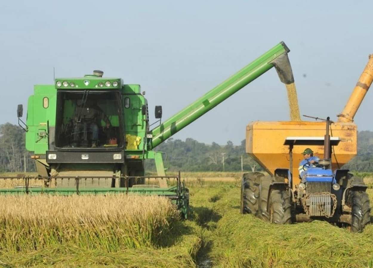 Colheita do arroz se aproxima dos 88% da área semeada no RS