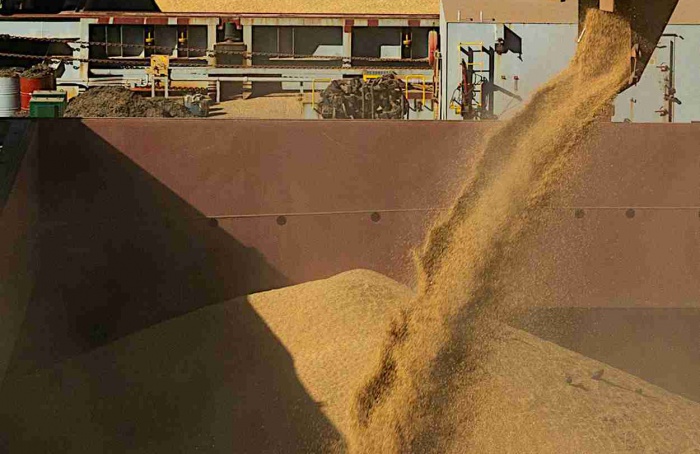 Agroconsult eleva estimativa da soja do Brasil para 183,1 milhões de toneladas