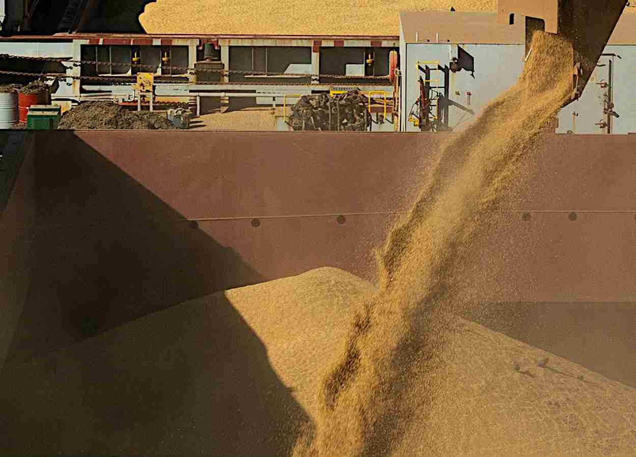 Agroconsult eleva estimativa da soja do Brasil para 183,1 milhões de toneladas