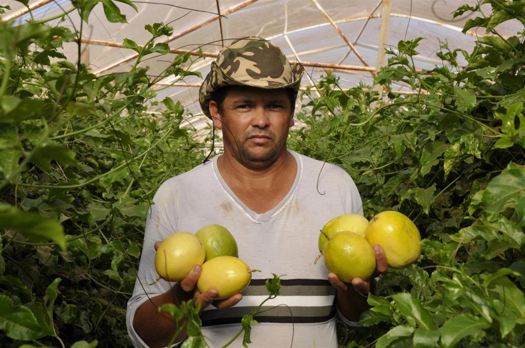 Expedição Safra-Brasília levanta situação de fruticultores do DF