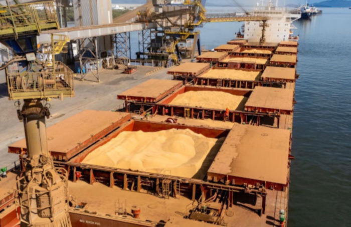 Porto de Paranaguá lidera exportação de soja no Brasil