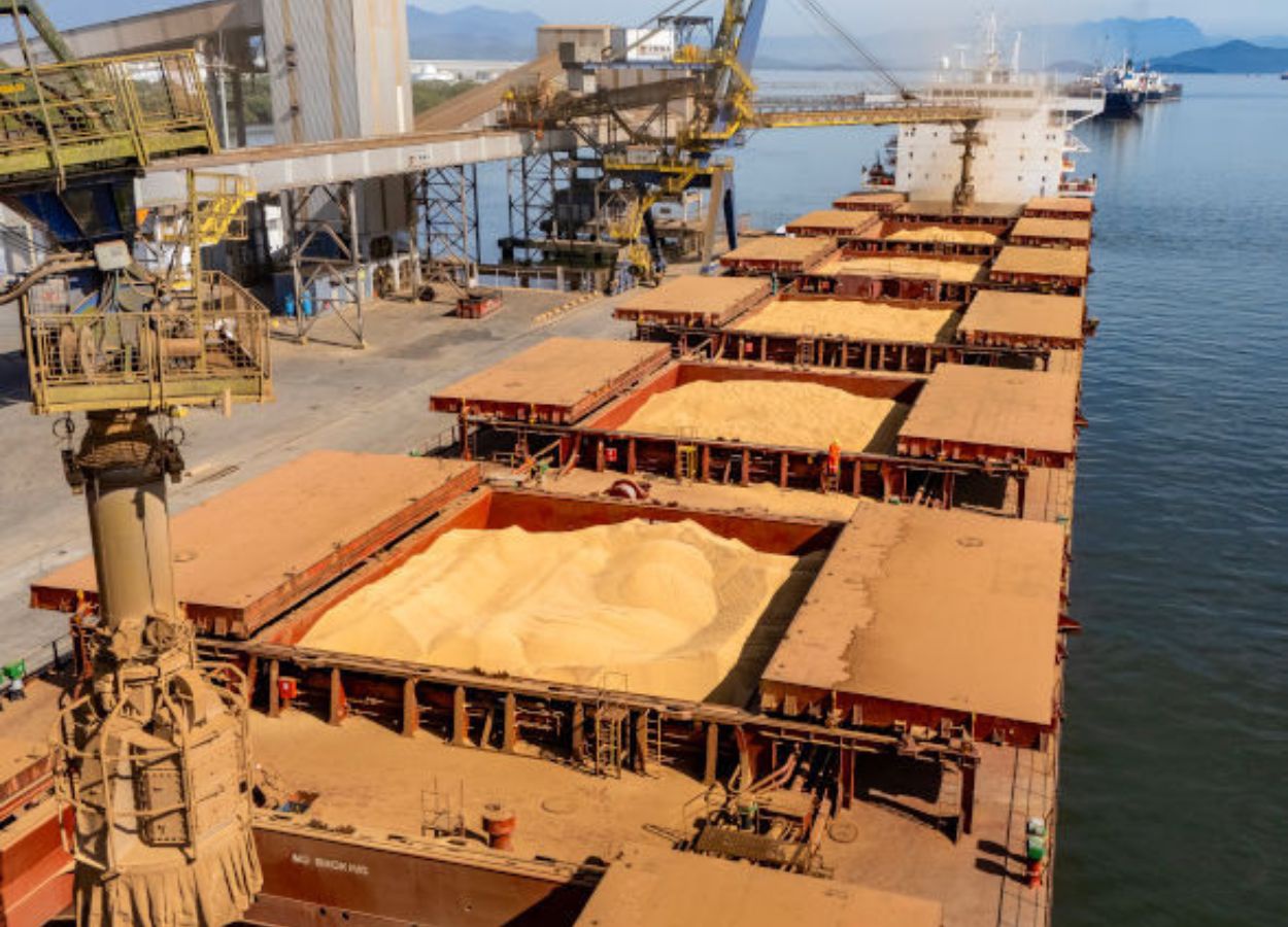 Porto de Paranaguá lidera exportação de soja no Brasil