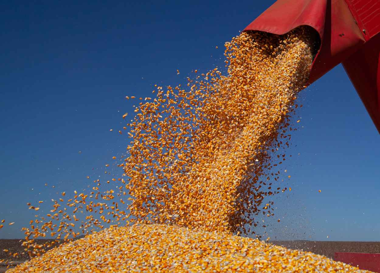 Foto:&nbsp;Wenderson Araujo