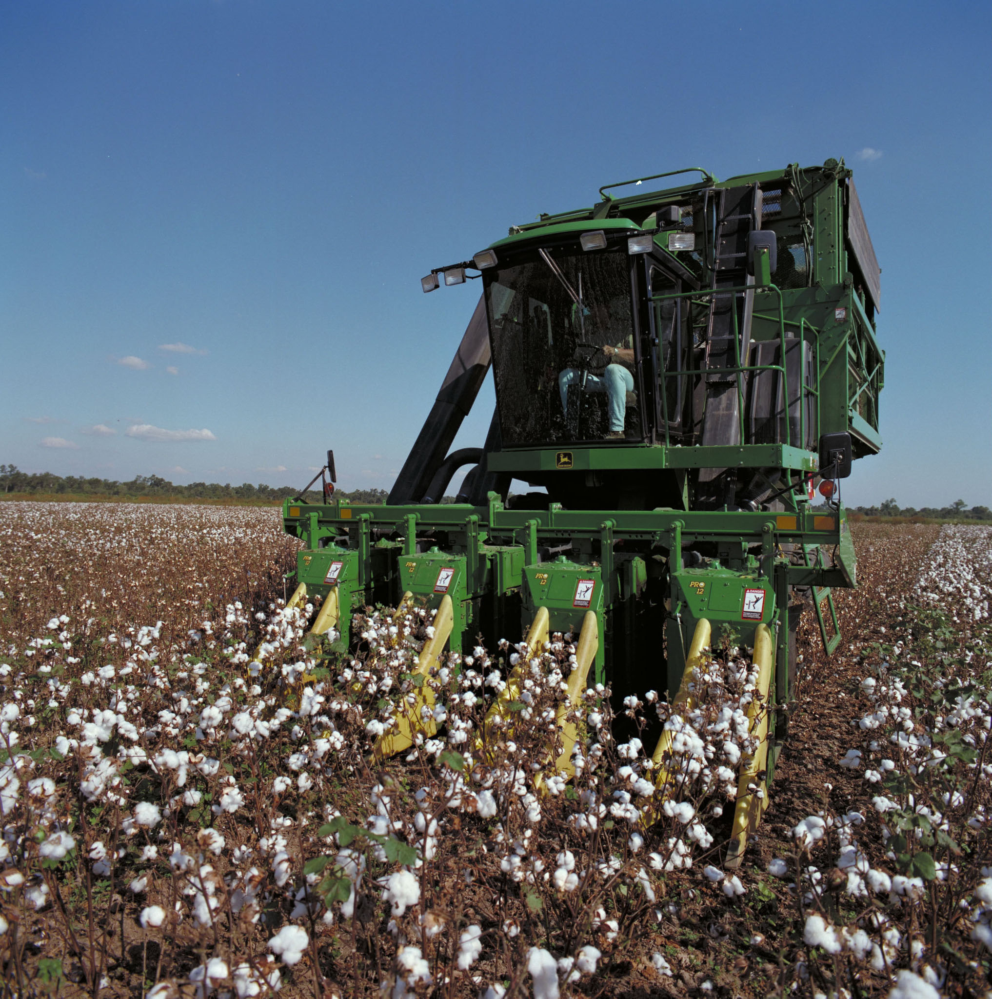 No sistema picker, o algodão é colhido de forma seletiva.