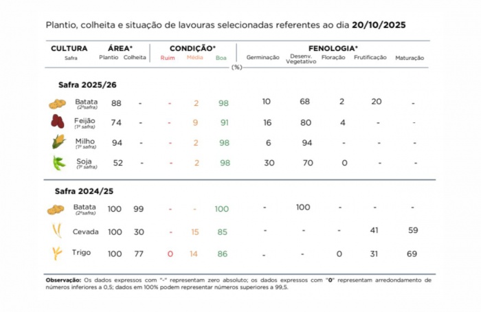 PR Safra 2025/26: soja e milho têm bom desenvolvimento inicial