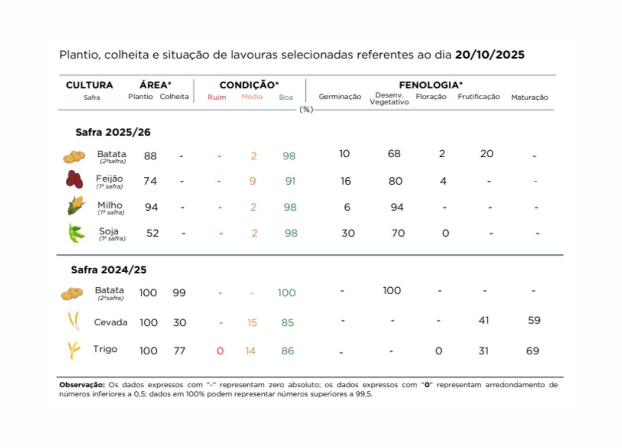 Chuvas beneficiam lavouras e pastagens, enquanto colheita do trigo enfrenta riscos de perda de qualidade