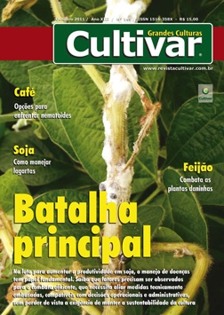 Batalha principal