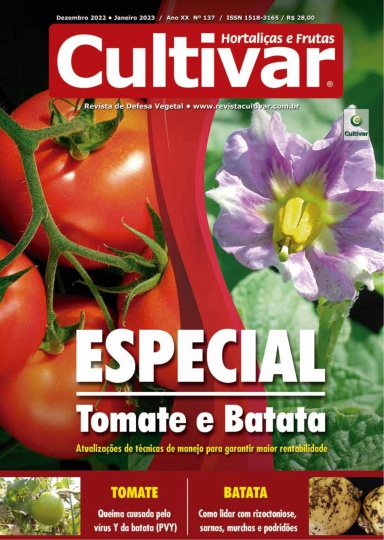 HF 137 - Especial Batata e Tomate