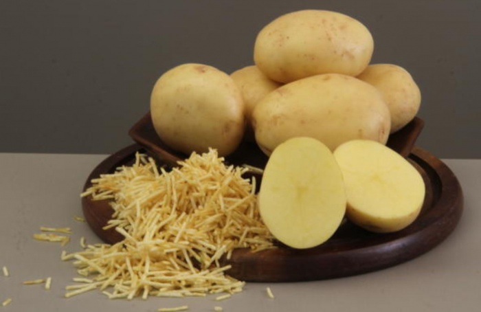 Pesquisa identifica clones de batata com potencial no DF