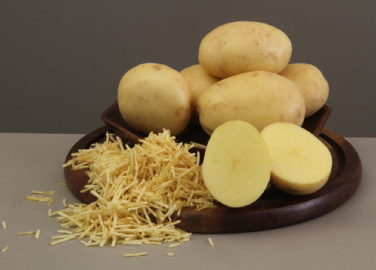Pesquisa identifica clones de batata com potencial no DF