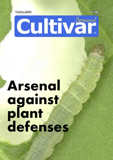 Cultivar Semanal 96