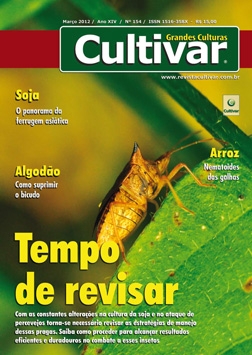 Tempo de revisar