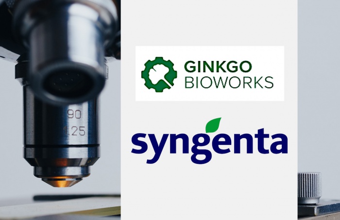Syngenta e Ginkgo Bioworks unem-se para acelerar solução biológica