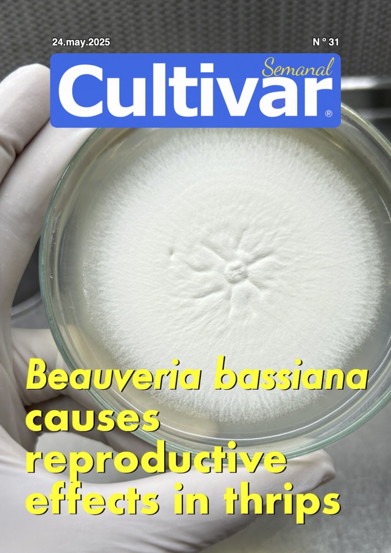 Cultivar Semanal 31