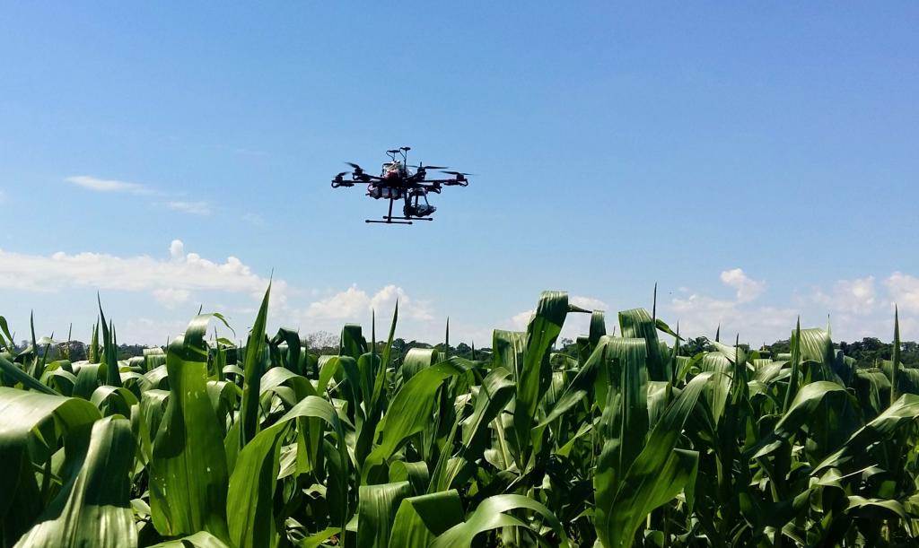 Embrapa, Sebrae e Inpe realizam levantamento sobre tendências em agricultura digital