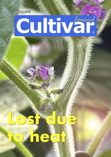 Cultivar Semanal 48