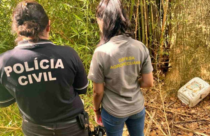 Herbicida proibido é identificado em fazenda no RS