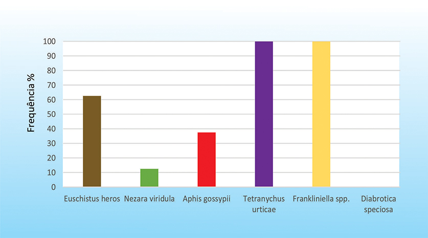 Gráfico 1 - Frequência relativa de insetos em plantas de trapoeraba (Commelina benghalensis) na região de Chapadão do Sul/MS, na cultura do algodoeiro. Fundação Chapadão – Maio 2012. safra 2011/2012