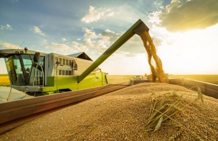 Superávit do Agro Paulista cresce 9,4% no primeiro semestre de 2024