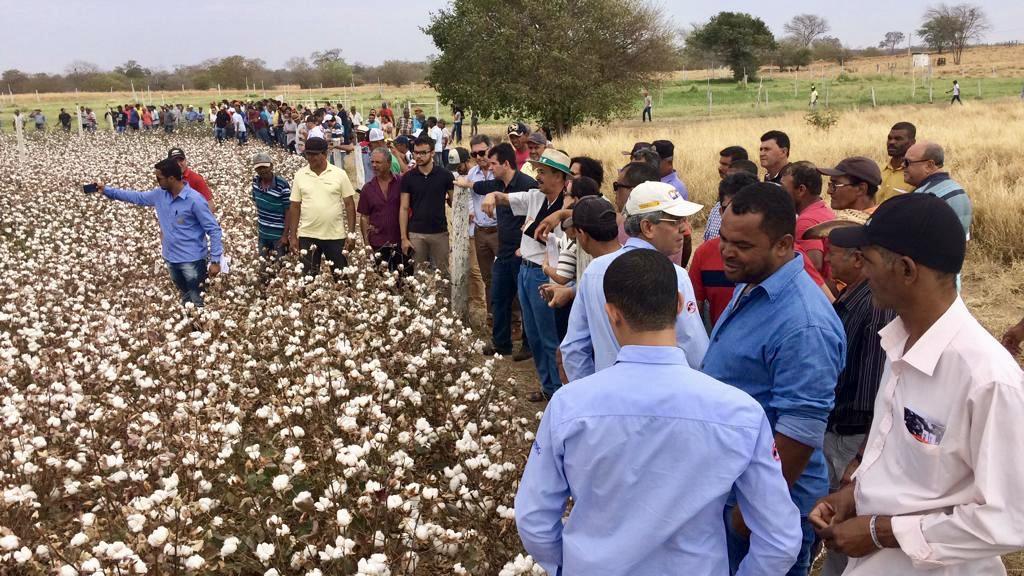 Dia de campo mostra resultados alcançados no sudoeste da Bahia com o uso de kits de irrigação doados pela Abapa