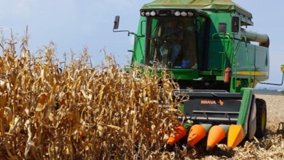 Foto: José Schäfer