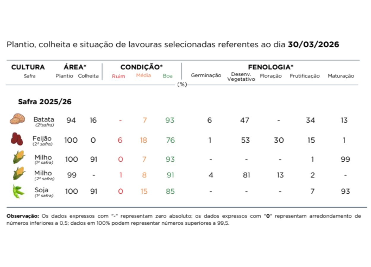 PR Safra 2025/26: colheita de grãos entra na reta final