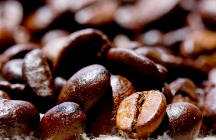 Capacitação incentiva avanço da cafeicultura no Distrito Federal