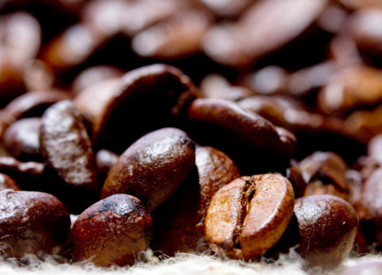 La capacitación fomenta el desarrollo del cultivo de café en el Distrito Federal.