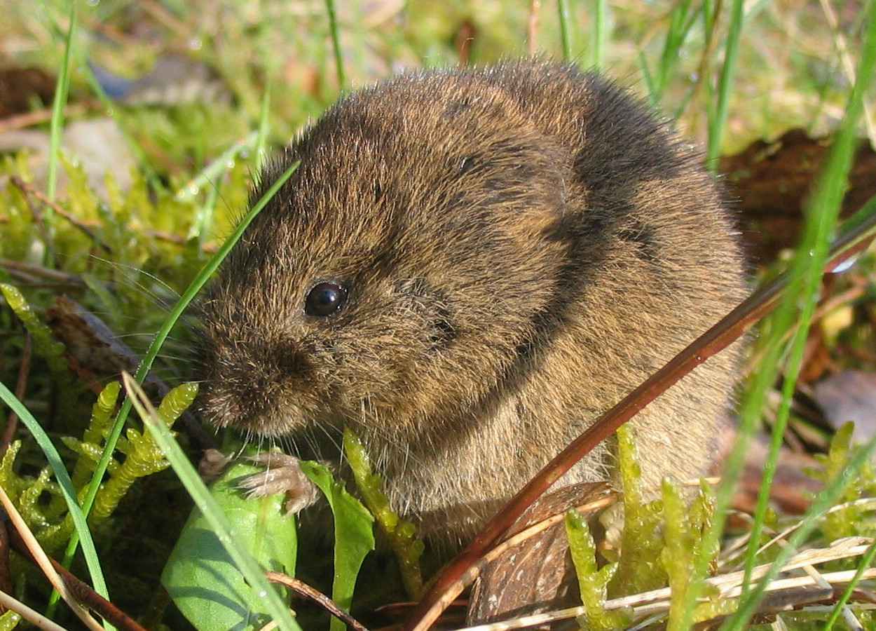 Foto:&nbsp;Dieter TD,&nbsp;CC BY-SA 3.0