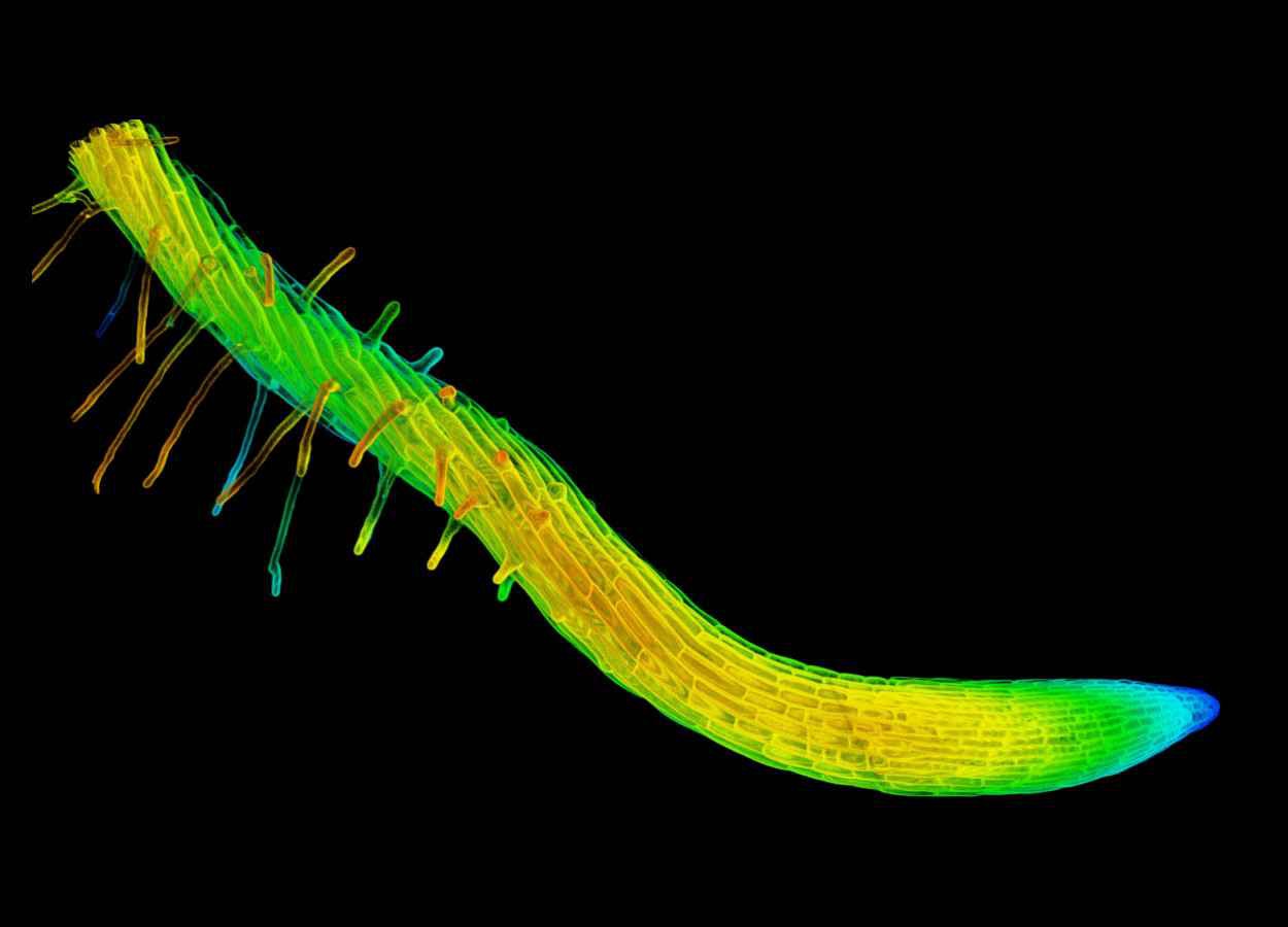 Pesquisa mostra que camada externa controla assimetria e pode orientar a exploração do solo
