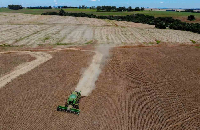 Condições climáticas refletem na produção agrícola do Paraná