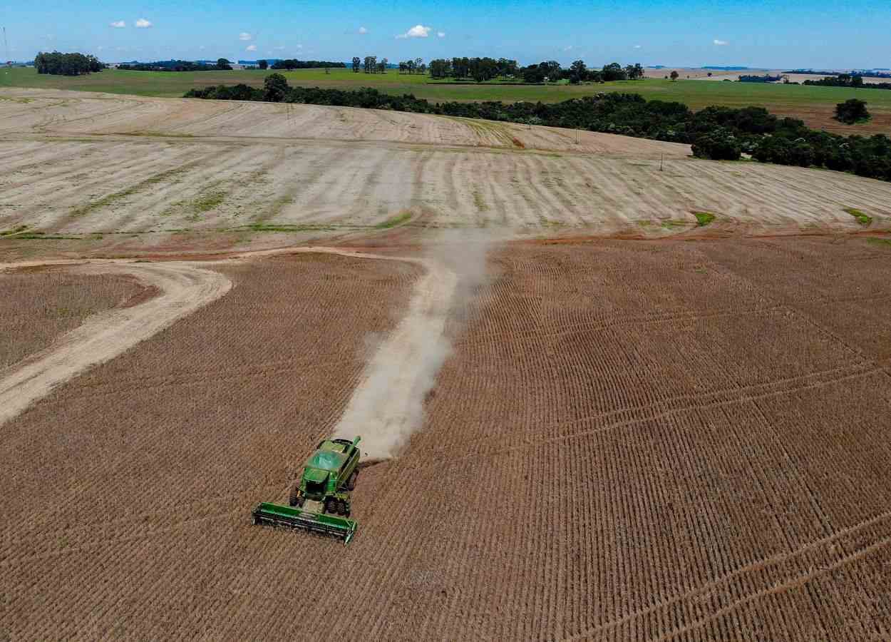 Condições climáticas refletem na produção agrícola do Paraná