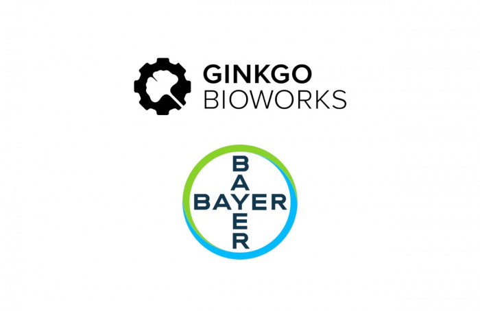 Bayer e Ginkgo Bioworks prorrogam parceria