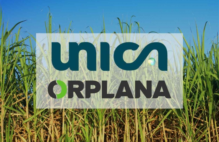 Orplana e Unica renovam bases do Consecana-SP
