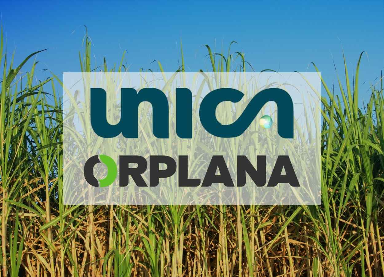 Orplana e Unica renovam bases do Consecana-SP