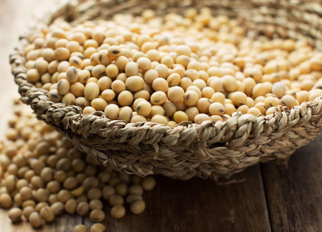 China adia compras de soja e mantém disputa entre Brasil e EUA
