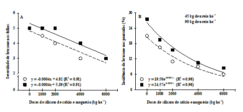 Figura 8: Severidade de brusone nas folhas (A) e incidência de brusone na panícula (B) em plantas arroz cultivar Epagri 109, suplementadas com doses crescentes de silicato de cálcio e magnésio (0; 1.000; 2.000; 4.000; e 6.000kg ha-1) em combinação com o nitrogênio (45 e 90kg ha-1) aplicado em cobertura.