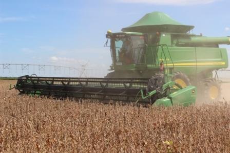 ​Números preliminares de uma boa safra trazem otimismo aos organizadores da Bahia Farm Show 2017