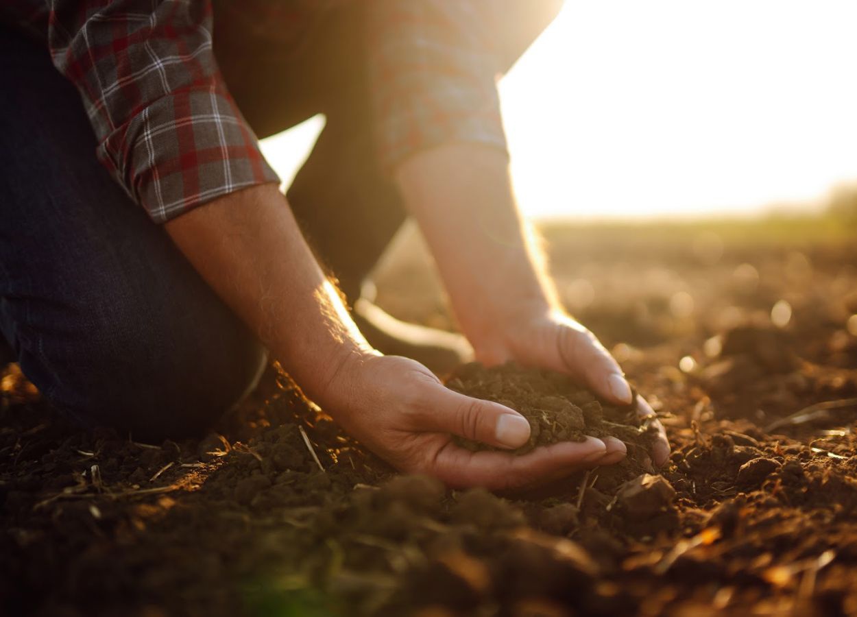 Conservação do solo: uma aliança com os fertilizantes