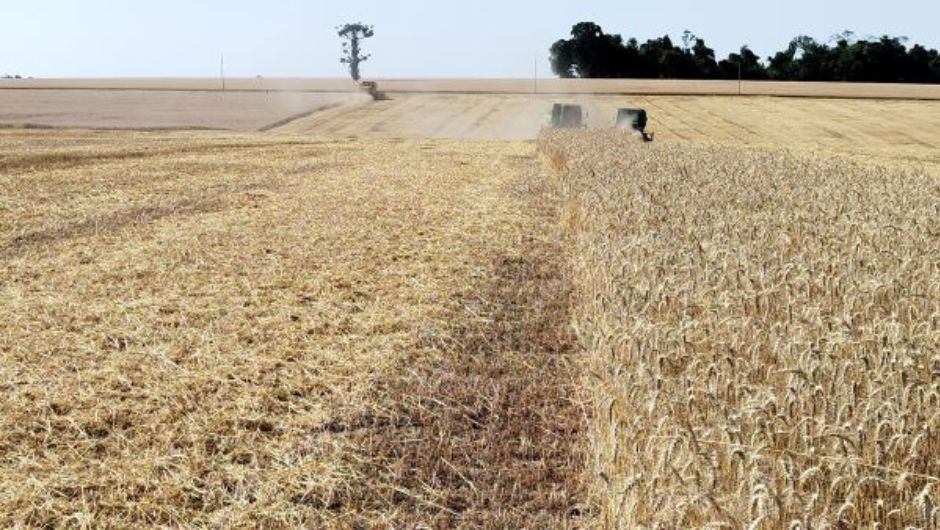 Foto: José Schäfer