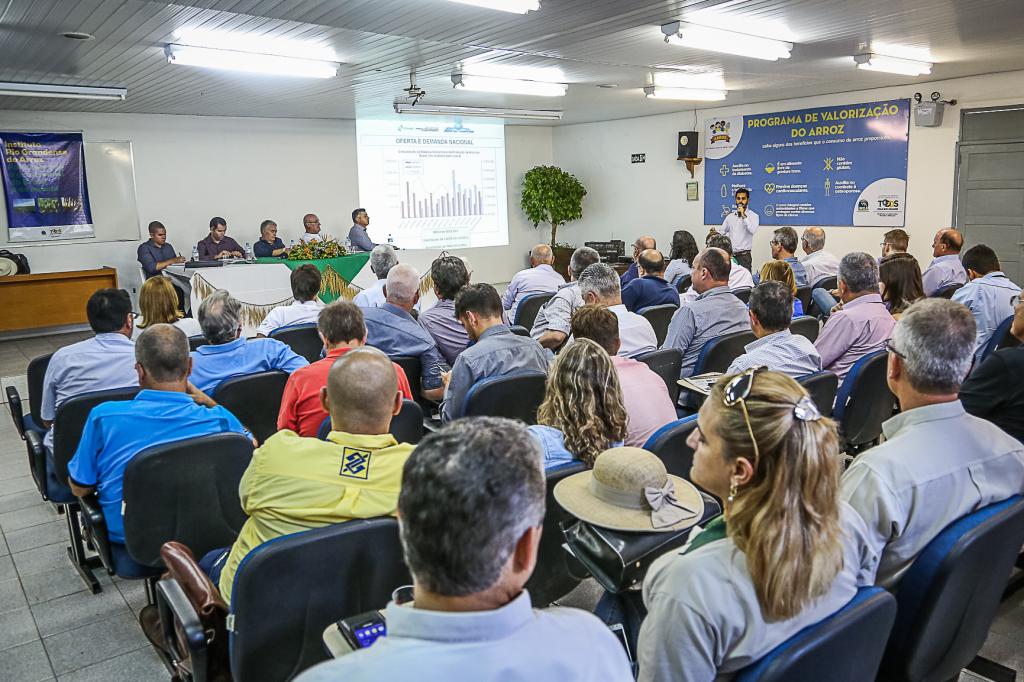 ​Setor arrozeiro pede mudanças em portaria sobre fitossanidade