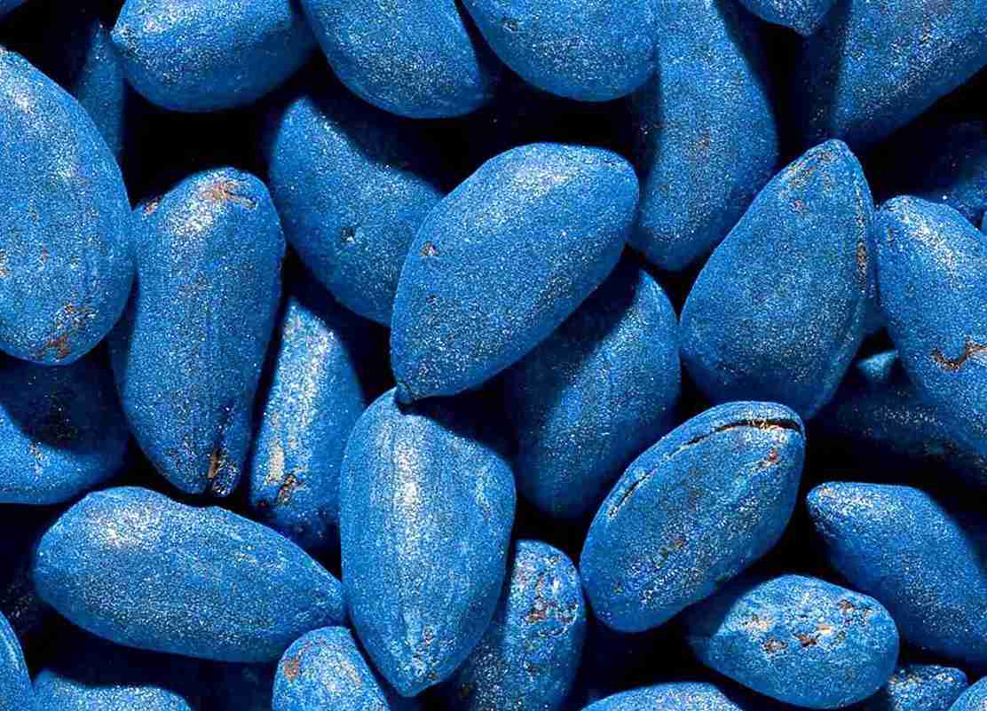 Estudo mostra efeitos sobre teores de óleo e proteína e sobre a produtividade de sementes em condições de seca