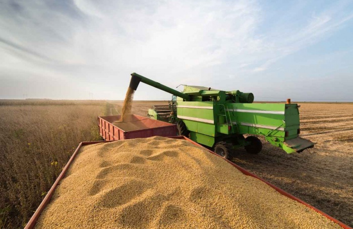 Escoamento da soja pressiona fretes no Brasil