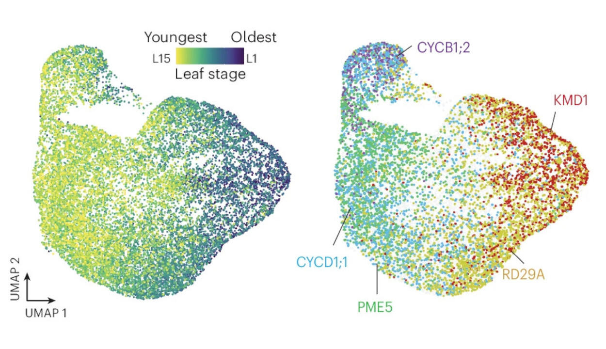 doi.org/10.1038/s41477-026-02254-3