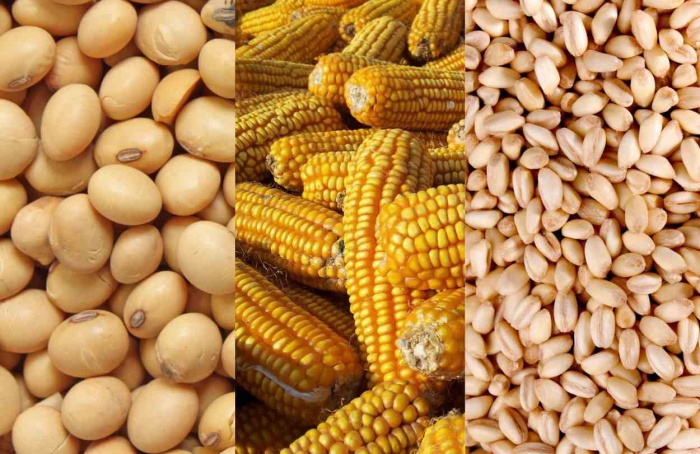 North American Trends for Soybeans, Corn and Wheat: A Hedgepoint Analysis
