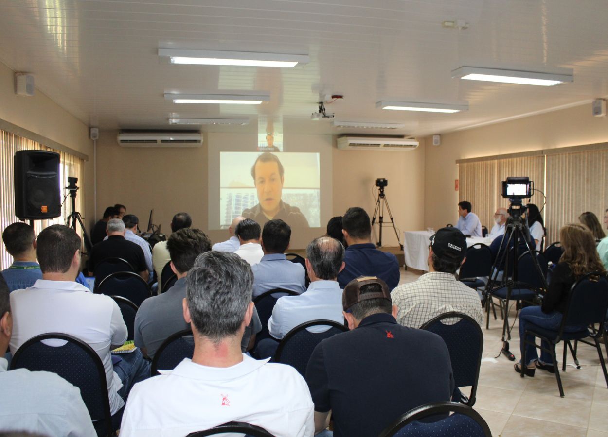 Câmara Setorial do Trigo aponta que volume e qualidade superam expectativas após ano com clima favorável