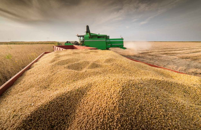 Mercado da soja reage a clima nos EUA e tensão no Irã