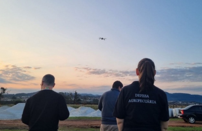 Drones auxiliam nas ações da Defesa Vegetal do RS